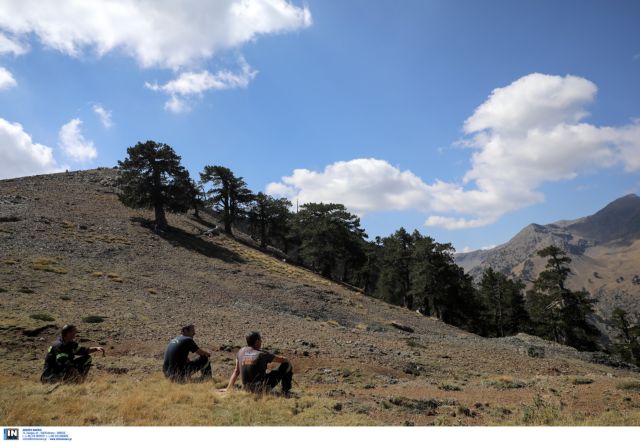 Ολοκληρώνεται η ανάρτηση των δασικών χαρτών