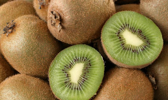 Στα ίχνη κυκλώματος παράνομης διακίνησης ακτινιδίων