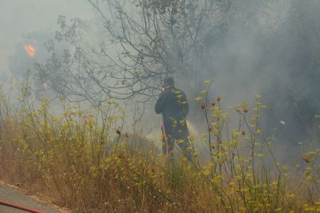 Φωτιά στην Πρέβεζα: Στάχτη εργοστάσιο ζυμαρικών και πολλά θερμοκήπια