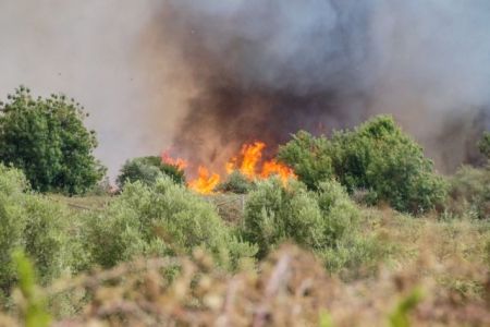 Φωτιά σε δασική έκταση στην περιοχή Aγιος Αθανάσιος Μεσσηνίας