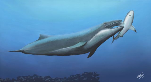 Ο Δαρβίνος έκανε λάθος για τις φάλαινες