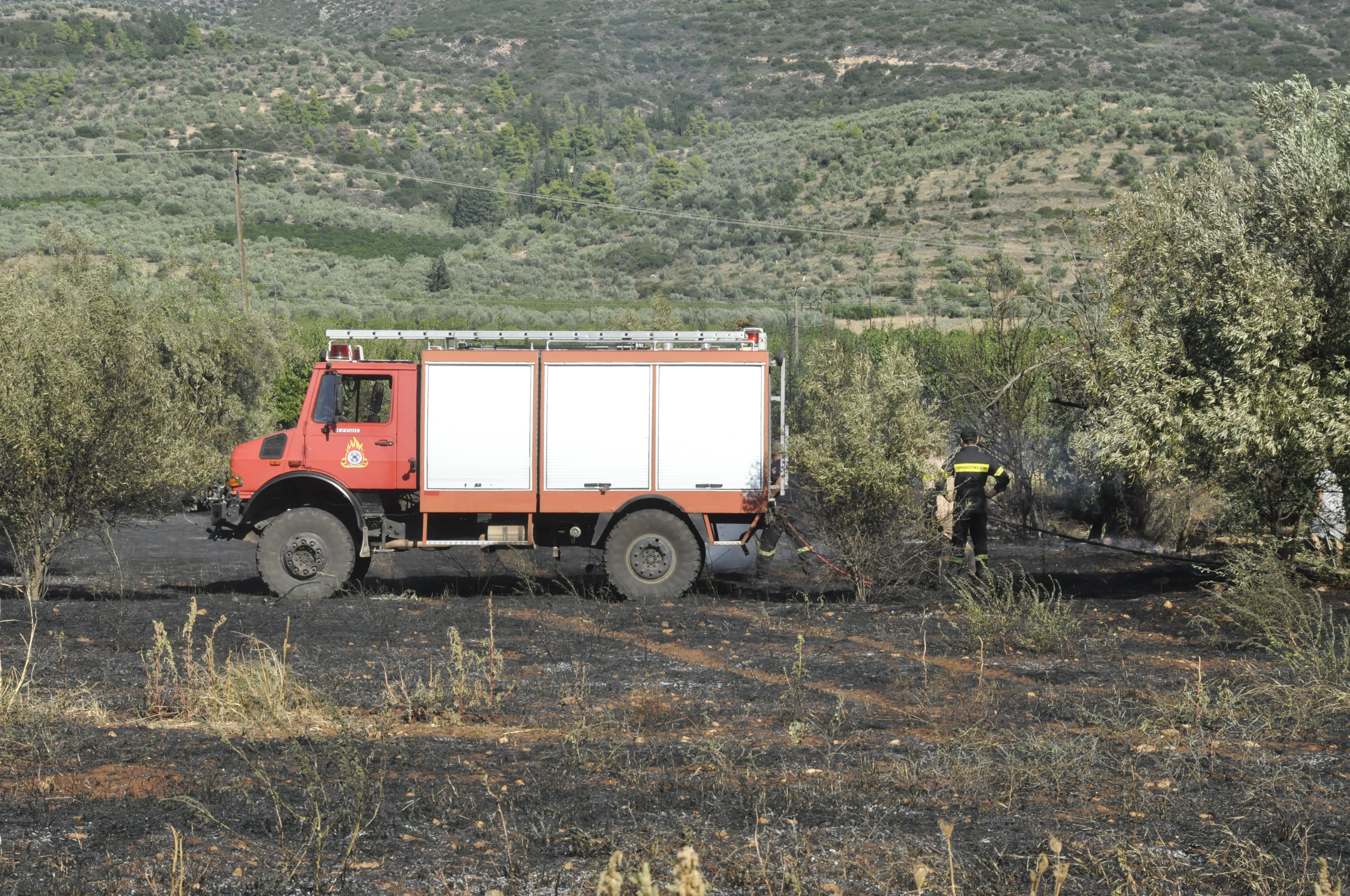 Υπό μερικό έλεγχο η φωτιά στο Σούνιο – Επιχειρούν 20 πυροσβέστες και 10 οχήματα