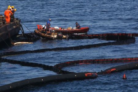 Καθησυχαστικό το ΕΛΚΕΘΕ για τα ψάρια στον Σαρωνικό Κόλπο