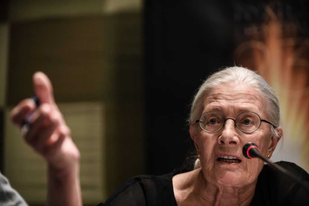 Βανέσα Ρεντγκρέιβ: Οι κυβερνήσεις δεν έχουν καθήκον να συμφωνούν με τους πολίτες αλλά να βοηθούν ανθρώπους