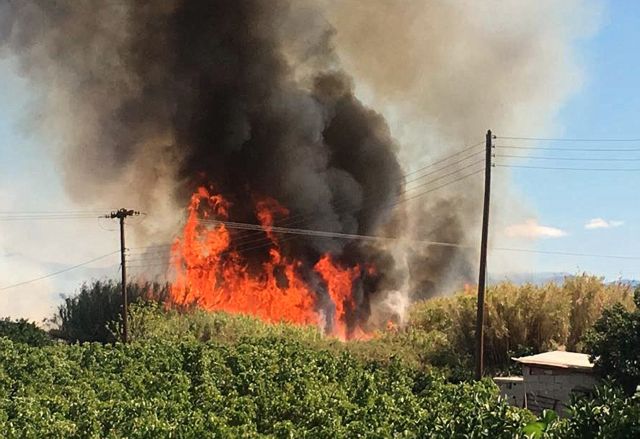 Πυρκαγιά στην Κασσάνδρα Χαλκιδικής – Κοντά σε κατοικίες οι φλόγες