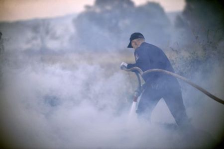 Υπό μερικό έλεγχο η φωτιά στην περιοχή Καπελέτο Ηλείας