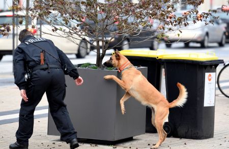 Ένταση ανάμεσα σε Αυστρία και Τουρκία για…ειδικά εκπαιδευμένους σκύλους
