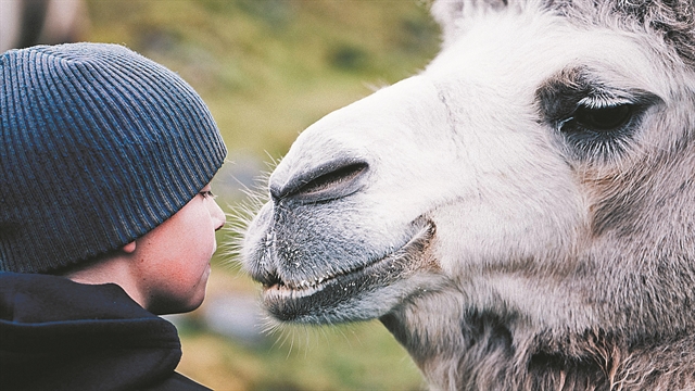ΣΤΗΝ ΟΛΥΜΠΙΑ ΤΑ ΠΑΙΔΙΑ ΖΟΥΝ ΤΟ ΣΙΝΕΜΑ