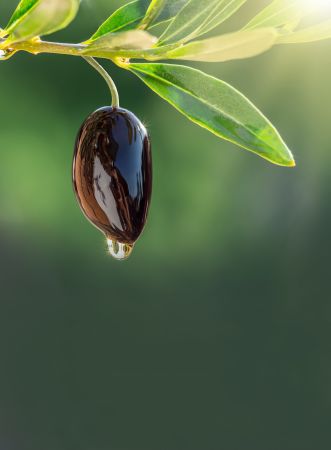 Προειδοποιεί το ΕΦΕΤ για τόνους νοθευμένου ελαιόλαδου
