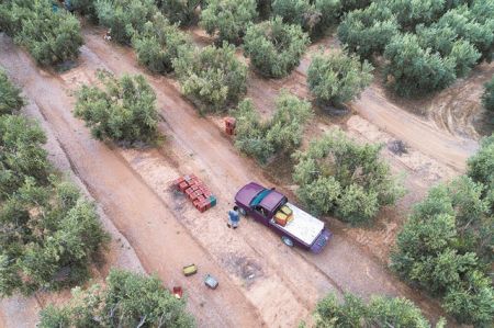 Παζάρι για πρόσθετους πόρους στους αγρότες
