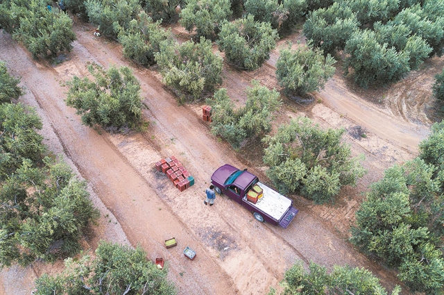 Παζάρι για πρόσθετους πόρους στους αγρότες