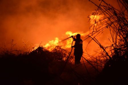 Καίγεται για δεύτερη μέρα η περιοχή Πισσώνα Ευβοίας