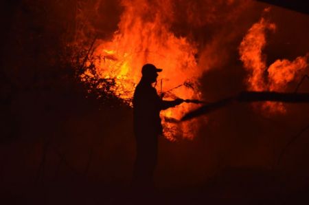 Στάχτη έγιναν το καλοκαίρι 235.000 στρέμματα στην Ελλάδα