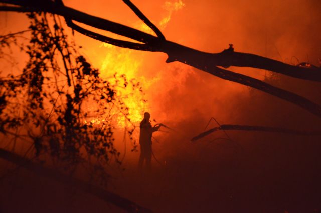 Πυρκαγιά σε δάσος στο Καρπενήσι