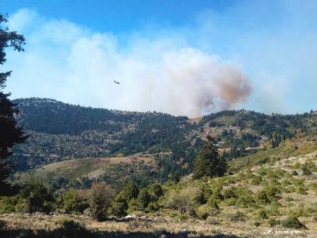 Μάχη για να τεθεί υπό έλεγχο η φωτιά στη Σέτα Ευβοίας [Βίντεο]