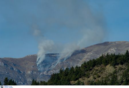 Πυροσβεστική: Περισσότερες φωτιές, λιγότερα καμμένα