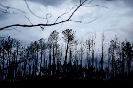 Ισπανία – Πορτογαλία: Στους 45 οι νεκροί από τις πυρκαγιές