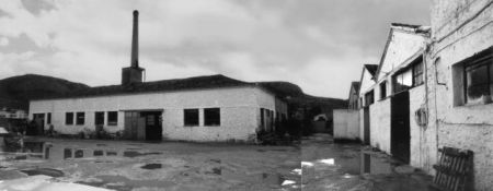 Από εργοστάσιο κονσερβοποιίας, κέντρο πολιτισμού