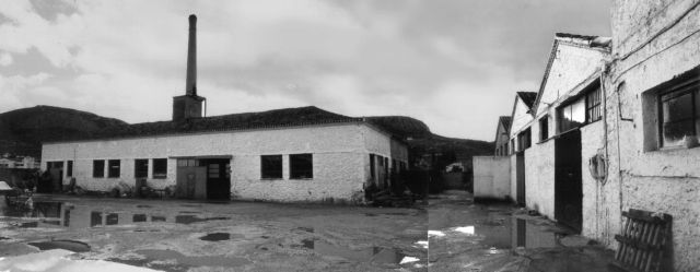 Από εργοστάσιο κονσερβοποιίας, κέντρο πολιτισμού