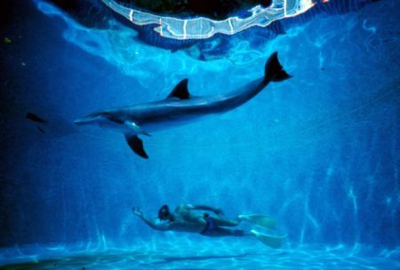 Πρεμιέρα για 20 ελληνικές ταινίες