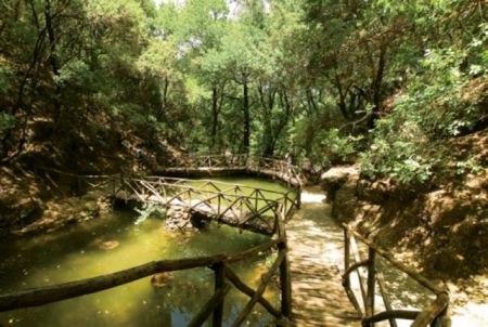 Νέο είδος εντόμου ανακαλύφθηκε στην Ρόδο