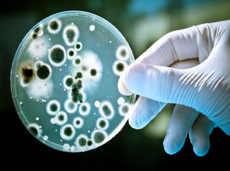 Οι λοιμώξεις από πολυανθεκτικά μικρόβια πρώτη αιτία θανάτου μέχρι το 2050