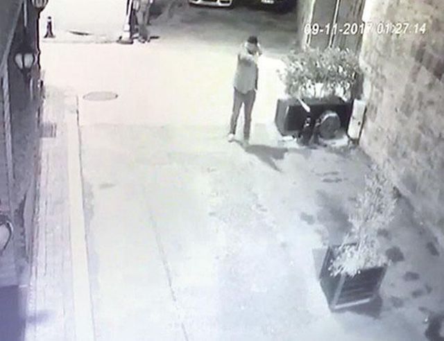 Κωνσταντινούπολη: Ερευνάται άνδρας που πυροβόλησε γάτες