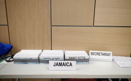 Υπέρ της διεξαγωγής νέων εκλογών οι Γερμανοί