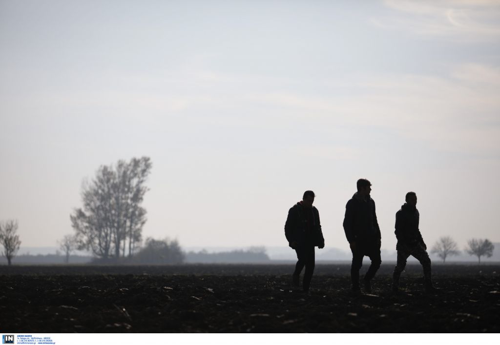 Χίος: Κατηγορίες κακουργήματος για τους πρόσφυγες που έκλεψαν λαχανικά