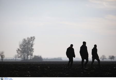 Χίος: Κατηγορίες κακουργήματος για τους πρόσφυγες που έκλεψαν λαχανικά