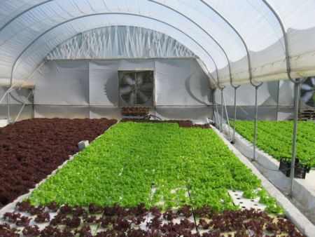 Επιστήμη και παράδοση στο χωράφι