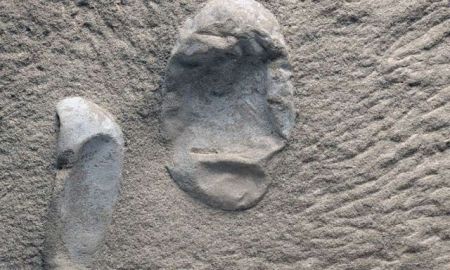 Κίνα: Ανακαλύφθηκαν 215 απολιθωμένα αυγά πτερόσαυρων