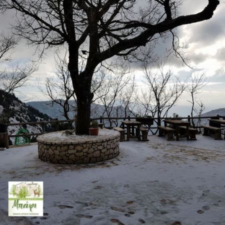 Το χιόνι έντυσε στα λευκά την Πάρνηθα [βίντεο]