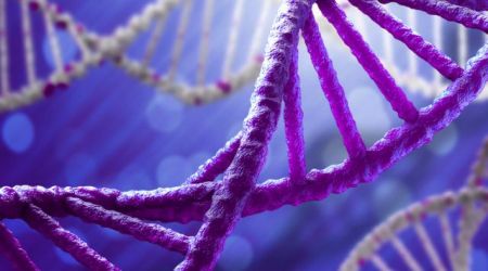 Δημιουργήθηκε το μεγαλύτερο οικογενειακό δέντρο με 13 εκατ. μέλη!