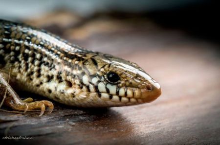 Είμαστε πλούσιοι