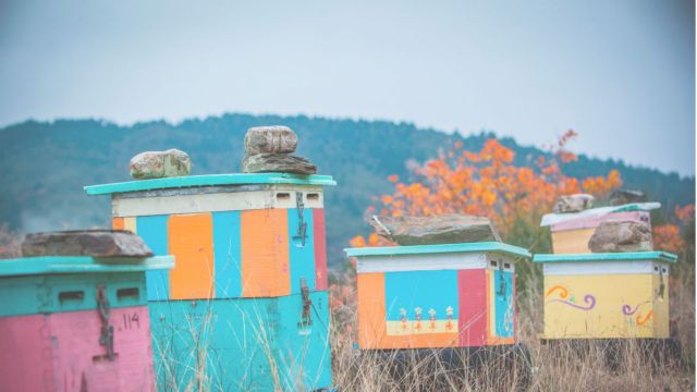 Σε 40 χώρες το μέλι Αττική