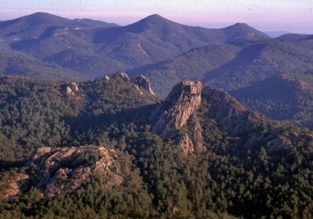 Δύο εβδομάδες διορία για την ελληνική φύση