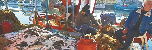 Ψάρια στην υπηρεσία ομορφιάς και υγείας