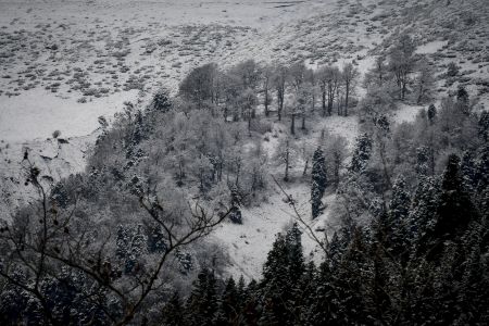 Χιονισμένα Χριστούγεννα θα φέρει η περαιτέρω πτώση της θερμοκρασίας – «Το έστρωσε» στην Πάρνηθα