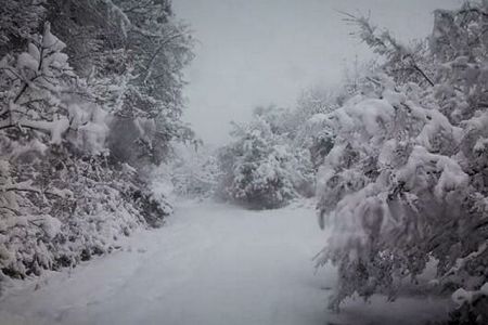 Σκοτεινές, λευκές νύχτες