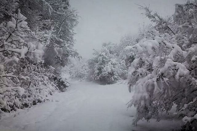 Σκοτεινές, λευκές νύχτες