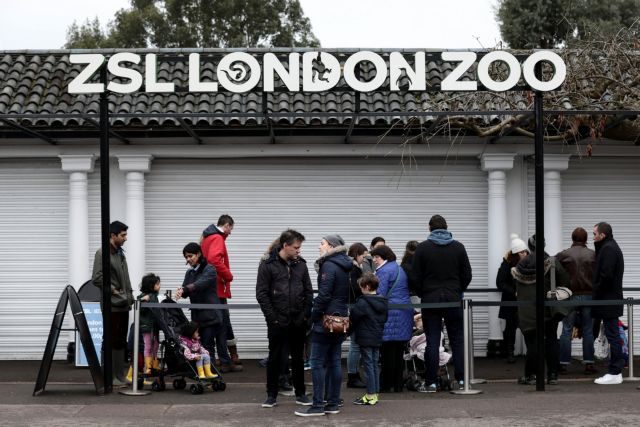 Επαναλειτουργεί ο ζωολογικός κήπος του Λονδίνου