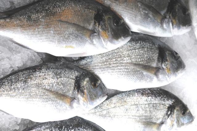 «Σαρώνουν» στην Πορτογαλία ελληνική τσιπούρα και λαβράκι