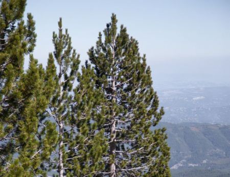 Η ομορφιά γεννιέται στην Πίνδο