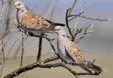 Οι λέξεις που συγκινούν