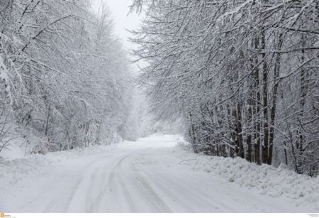 Κλειστά σχολεία σήμερα σε δήμους της Δ. Μακεδονίας εξαιτίας του καιρού