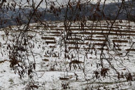 Λίβανος: 15 σύροι πρόσφυγες και παιδιά νεκροί από το κρύο