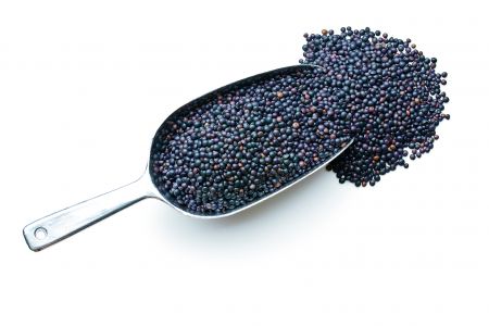 Φακές beluga, όπως το χαβιάρι