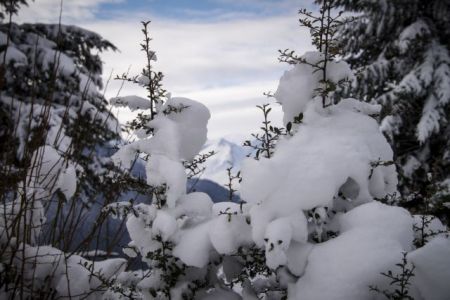 Μισό μέτρο χιόνι στο νομό Τρικάλων