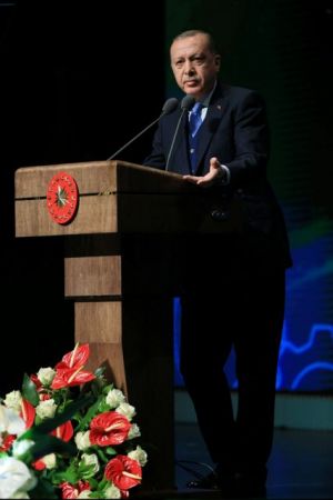 Ανησυχία για τις «πολιτοφυλακές του Ερντογάν» στην Τουρκία